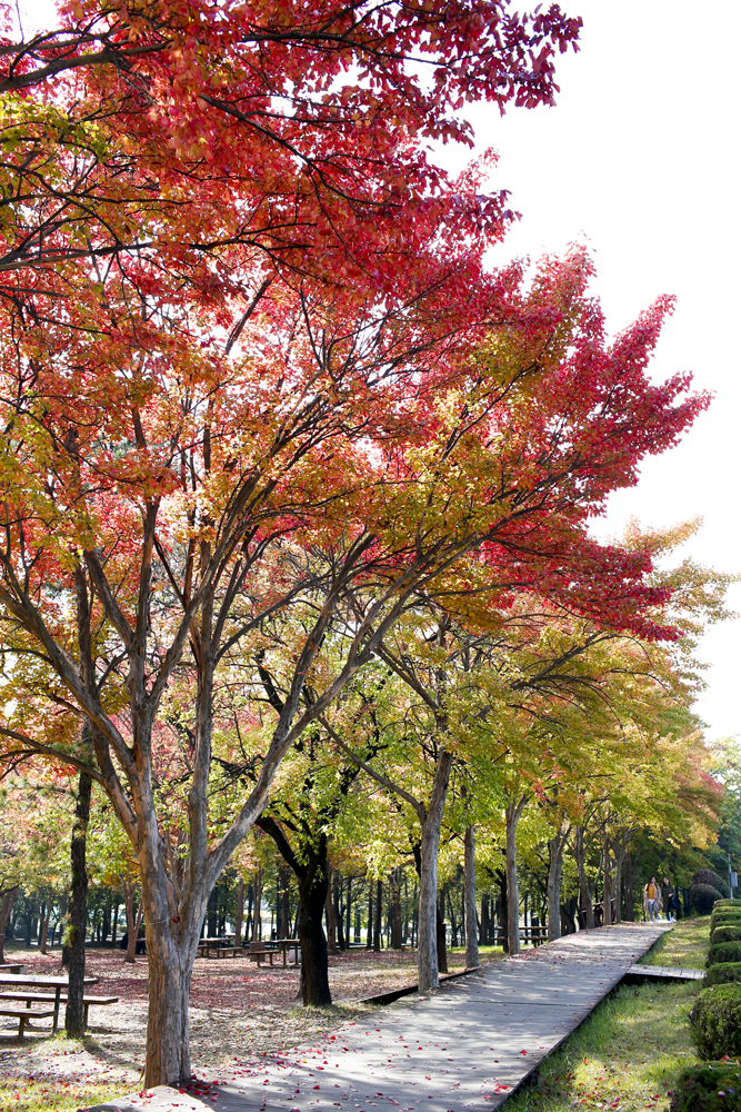 Campus-Autumn 2014